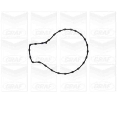 PA1134_2.JPG Pompa dell'acqua, raffreddamento motore PA1134 GRAF per TOYOTA LOTUS