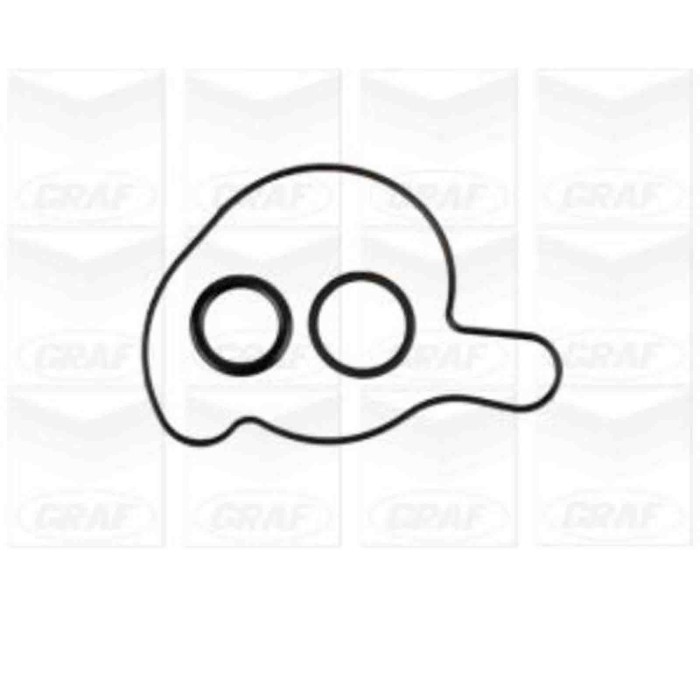 PA1151_2.JPG Pompa dell'acqua, raffreddamento motore PA1151 GRAF per AUDI VW