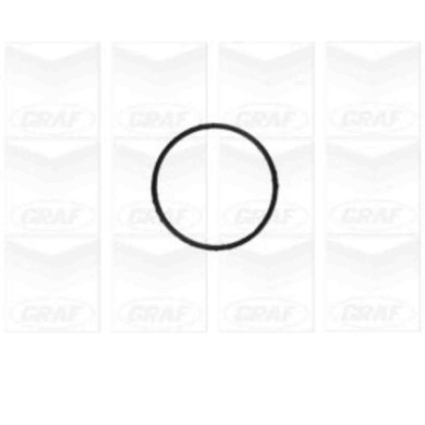 PA1155_2.JPG Pompa dell'acqua, raffreddamento motore PA1155 GRAF per FIAT ALFA ROMEO LANCIA