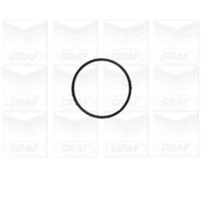 PA1155_2.JPG Pompa dell'acqua, raffreddamento motore PA1155 GRAF per FIAT ALFA ROMEO LANCIA