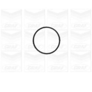 PA1155_2.JPG Pompa dell'acqua, raffreddamento motore PA1155 GRAF per FIAT ALFA ROMEO LANCIA