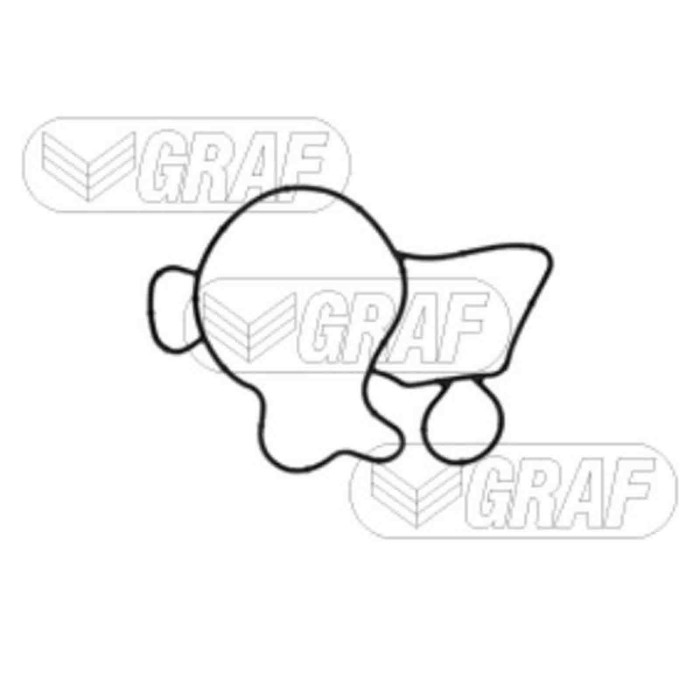 PA1164_2.JPG Pompa dell'acqua, raffreddamento motore PA1164 GRAF per BMW