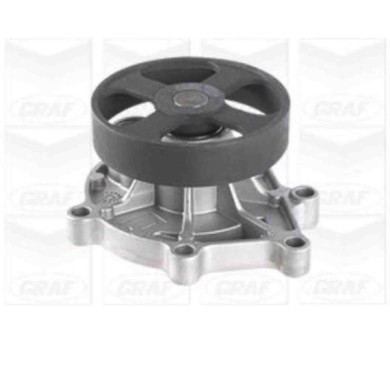 NEUTRO.jpg Pompa dell'acqua, raffreddamento motore PA1189 GRAF per TOYOTA MINI