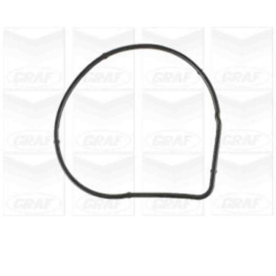 PA1189_2.JPG Pompa dell'acqua, raffreddamento motore PA1189 GRAF per TOYOTA MINI