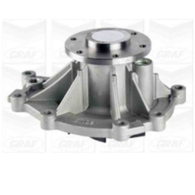 NEUTRO.jpg Pompa dell'acqua, raffreddamento motore PA1234 GRAF