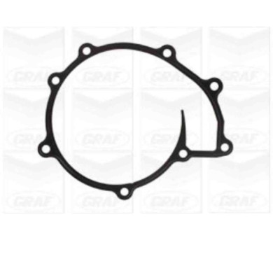 PA1234_2.JPG Pompa dell'acqua, raffreddamento motore PA1234 GRAF