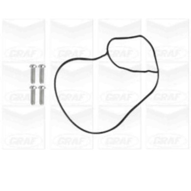 PA1246_2.JPG Pompa dell'acqua, raffreddamento motore PA1246 GRAF per AUDI VW FORD SEAT SKODA