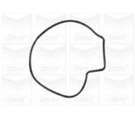 PA1252_2.JPG Pompa dell'acqua, raffreddamento motore PA1252 GRAF per OPEL