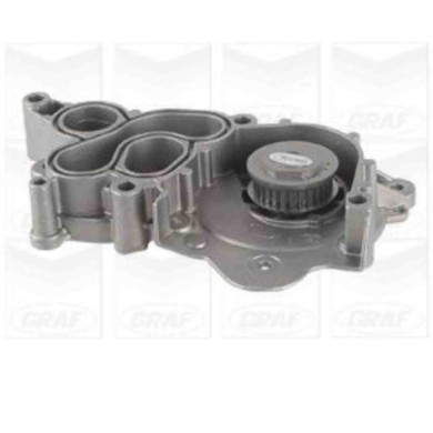 NEUTRO.jpg Pompa dell'acqua, raffreddamento motore PA1267 GRAF per AUDI VW SEAT SKODA