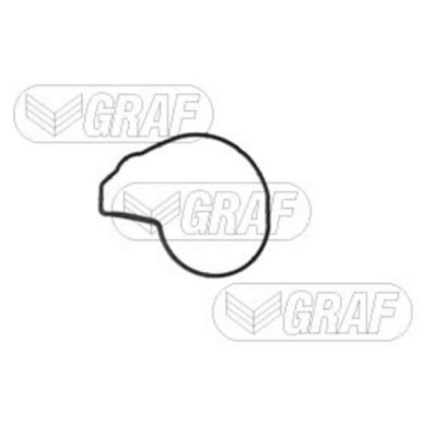 PA1349_2.JPG Pompa dell'acqua, raffreddamento motore PA1349 GRAF per BMW MINI