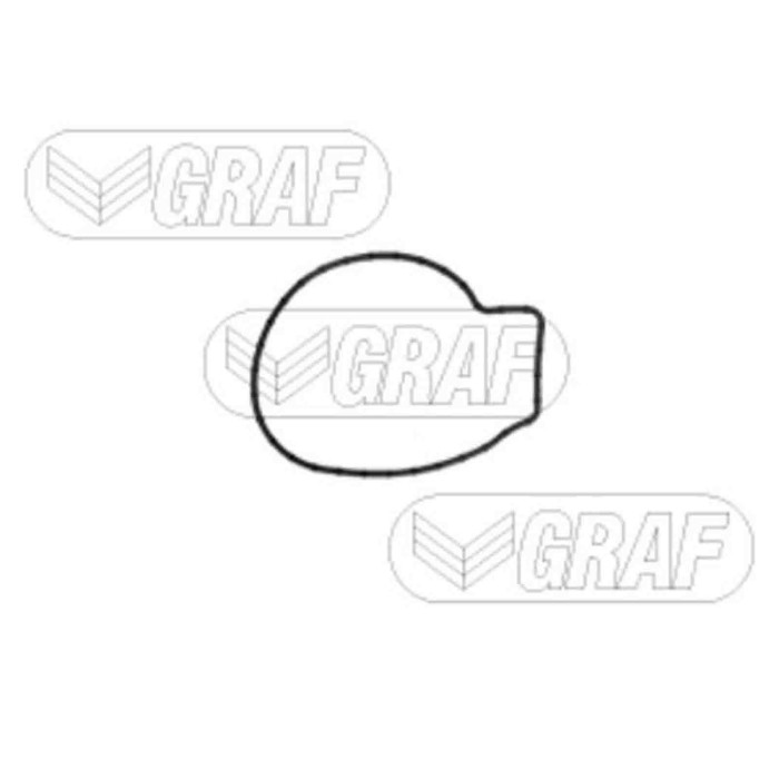 PA1371_2.JPG Pompa dell'acqua, raffreddamento motore PA1371 GRAF per OPEL