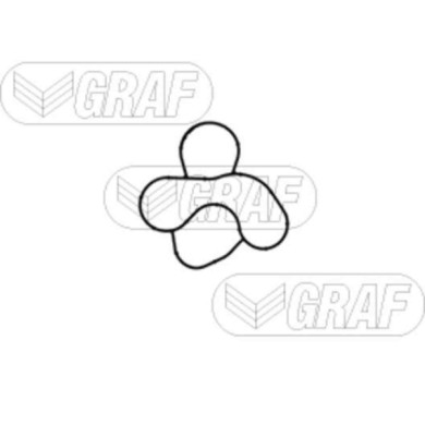 PA1372_2.JPG Pompa dell'acqua, raffreddamento motore PA1372 GRAF per AUDI VW SEAT SKODA CUPRA