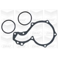 PA279_2.JPG Pompa dell'acqua, raffreddamento motore PA279 GRAF per AUDI VW FORD SEAT
