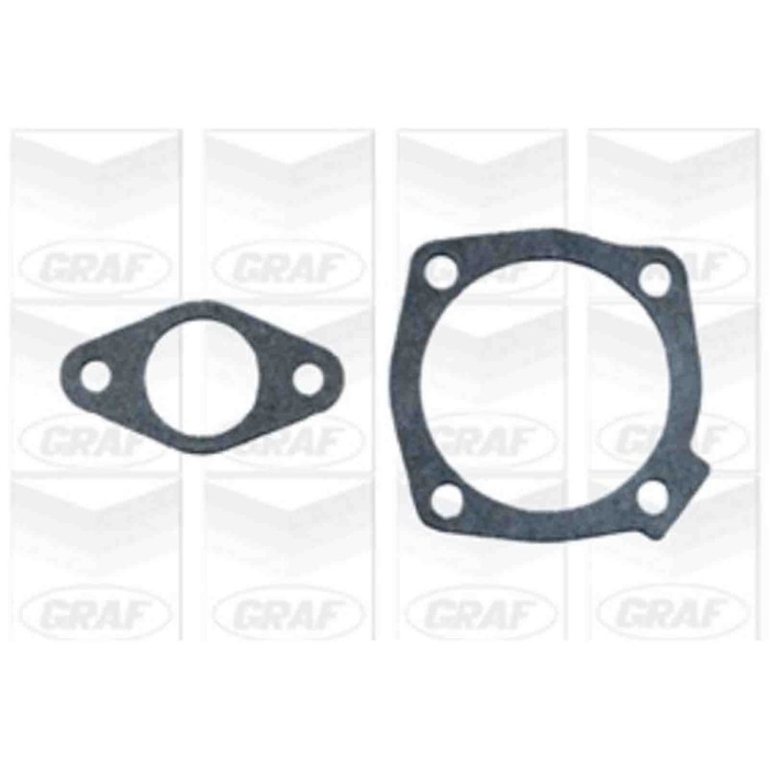 PA298_2.JPG Pompa dell'acqua, raffreddamento motore PA298 GRAF per FIAT LANCIA