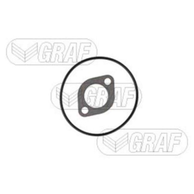 PA317_2.JPG Pompa dell'acqua, raffreddamento motore PA317 GRAF per IVECO