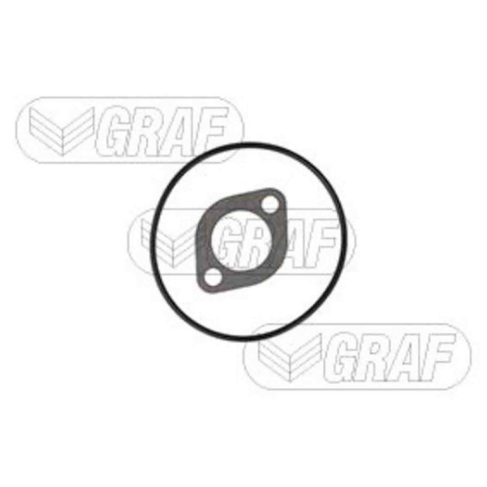 PA317_2.JPG Pompa dell'acqua, raffreddamento motore PA317 GRAF per IVECO