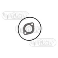 PA317_2.JPG Pompa dell'acqua, raffreddamento motore PA317 GRAF per IVECO