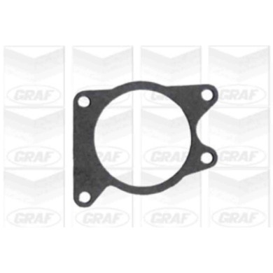 PA321_2.JPG Pompa dell'acqua, raffreddamento motore PA321 GRAF per FORD