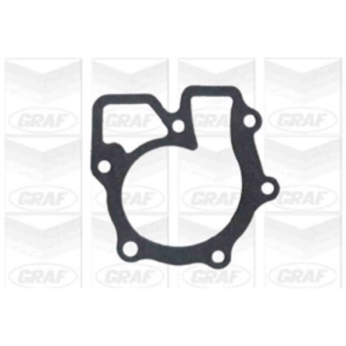 PA323_2.JPG Pompa dell'acqua, raffreddamento motore PA323 GRAF per FORD LDV