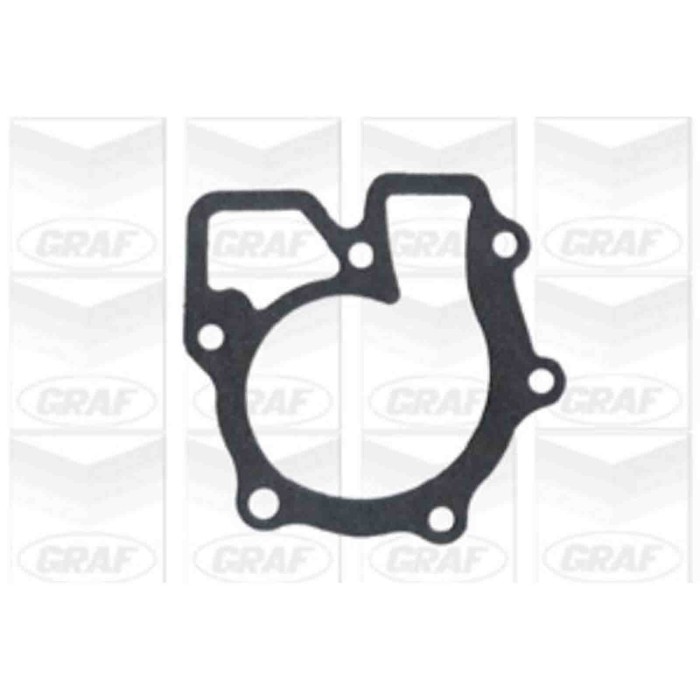 PA323_2.JPG Pompa dell'acqua, raffreddamento motore PA323 GRAF per FORD LDV