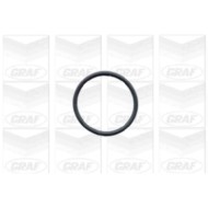 PA390_2.JPG Pompa dell'acqua, raffreddamento motore PA390 GRAF per BMW