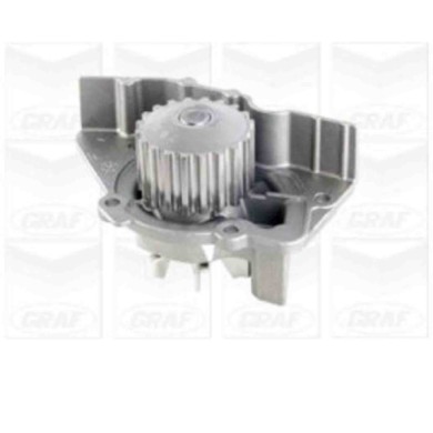 NEUTRO.jpg Pompa dell'acqua, raffreddamento motore PA391 GRAF per PEUGEOT CITROEN FIAT