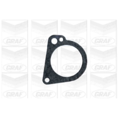 PA401_2.JPG Pompa dell'acqua, raffreddamento motore PA401 GRAF per FORD