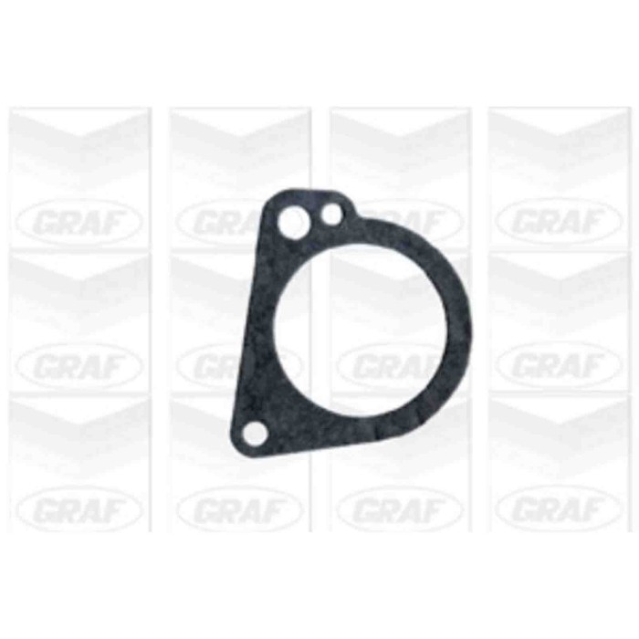 PA440_2.JPG Pompa dell'acqua, raffreddamento motore PA440 GRAF per FORD