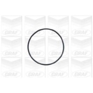 PA441_2.JPG Pompa dell'acqua, raffreddamento motore PA441 GRAF per OPEL VAUXHALL