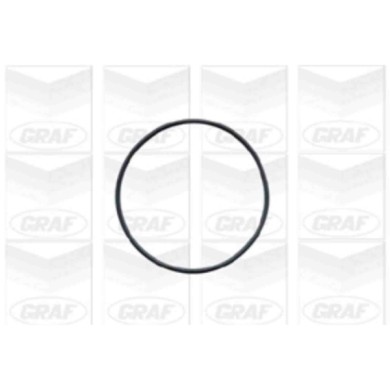 PA541_2.JPG Pompa dell'acqua, raffreddamento motore PA541 GRAF per OPEL