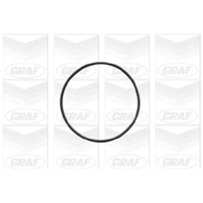 PA541_2.JPG Pompa dell'acqua, raffreddamento motore PA541 GRAF per OPEL