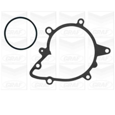 PA570_2.JPG Pompa dell'acqua, raffreddamento motore PA570 GRAF per BMW