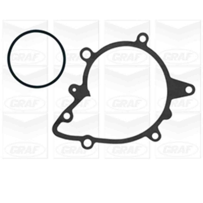 PA570_2.JPG Pompa dell'acqua, raffreddamento motore PA570 GRAF per BMW