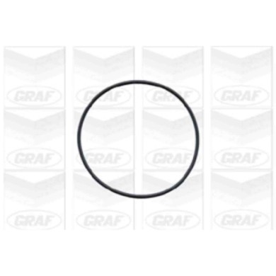 PA572_2.JPG Pompa dell'acqua, raffreddamento motore PA572 GRAF per OPEL CHEVROLET DAEWOO