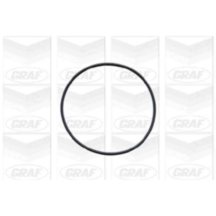 PA572_2.JPG Pompa dell'acqua, raffreddamento motore PA572 GRAF per OPEL CHEVROLET DAEWOO