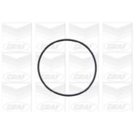 PA572_2.JPG Pompa dell'acqua, raffreddamento motore PA572 GRAF per OPEL CHEVROLET DAEWOO