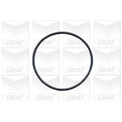 PA591_2.JPG Pompa dell'acqua, raffreddamento motore PA591 GRAF per AUDI