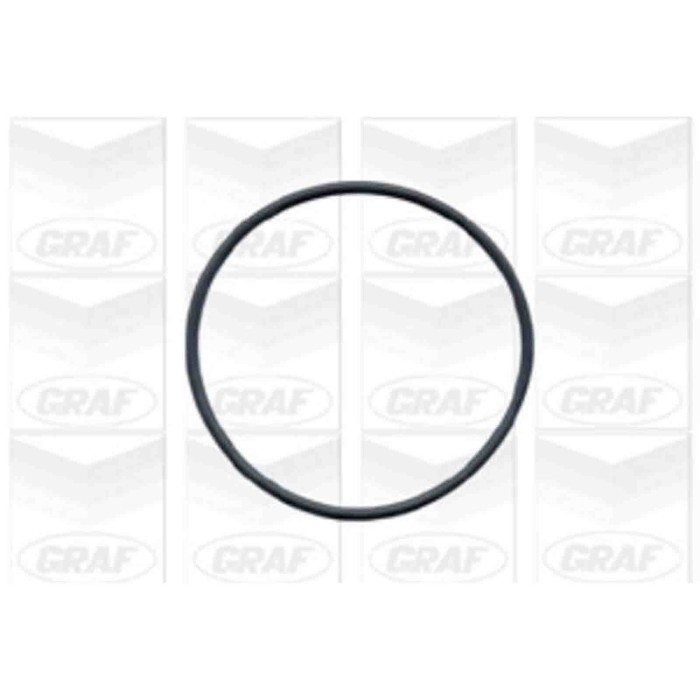 PA591_2.JPG Pompa dell'acqua, raffreddamento motore PA591 GRAF per AUDI