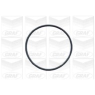 PA591_2.JPG Pompa dell'acqua, raffreddamento motore PA591 GRAF per AUDI