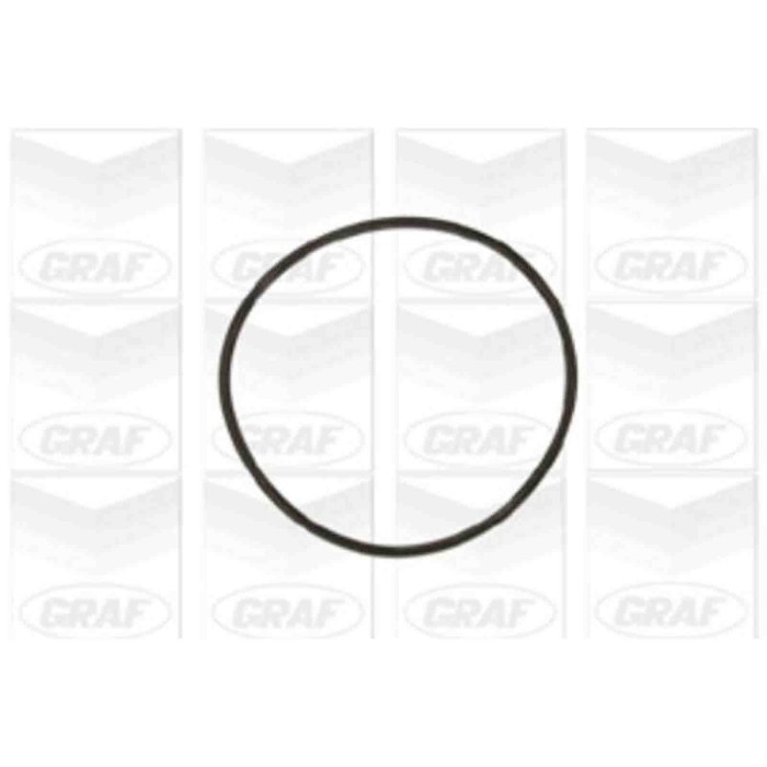 PA609_2.JPG Pompa dell'acqua, raffreddamento motore PA609 GRAF per AUDI VW SEAT SKODA