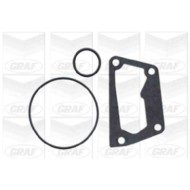 PA620_2.JPG Pompa dell'acqua, raffreddamento motore PA620 GRAF per FIAT LANCIA