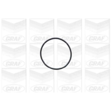 PA628_2.JPG Pompa dell'acqua, raffreddamento motore PA628 GRAF per PEUGEOT CITROEN MEGA