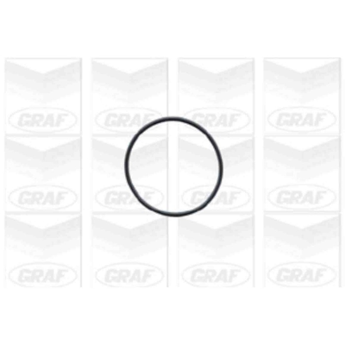 PA628_2.JPG Pompa dell'acqua, raffreddamento motore PA628 GRAF per PEUGEOT CITROEN MEGA