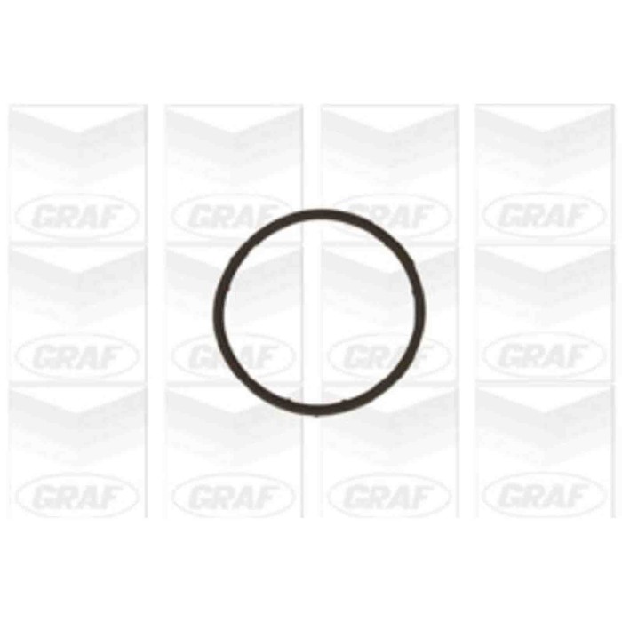 PA654_2.JPG Pompa dell'acqua, raffreddamento motore PA654 GRAF per VW SEAT