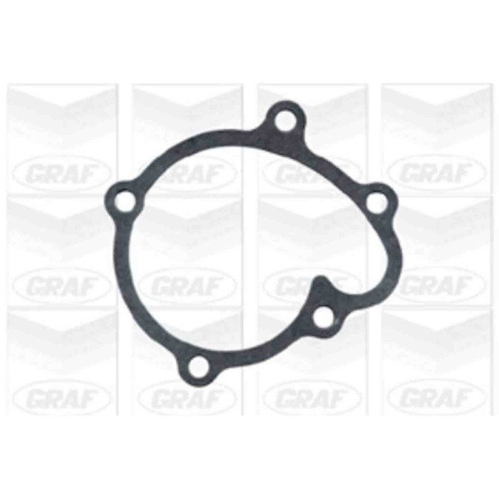 PA664_2.JPG Pompa dell'acqua, raffreddamento motore PA664 GRAF per OPEL