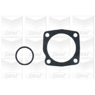 PA667_2.JPG Pompa dell'acqua, raffreddamento motore PA667 GRAF per ALFA ROMEO LANCIA