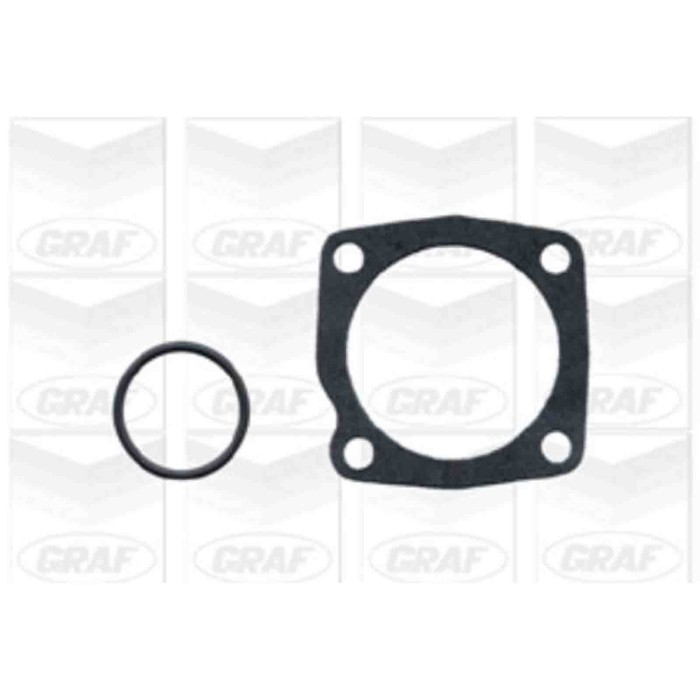 PA667_2.JPG Pompa dell'acqua, raffreddamento motore PA667 GRAF per ALFA ROMEO LANCIA