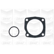 PA667_2.JPG Pompa dell'acqua, raffreddamento motore PA667 GRAF per ALFA ROMEO LANCIA