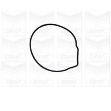 PA676_2.JPG Pompa dell'acqua, raffreddamento motore PA676 GRAF per VW SEAT