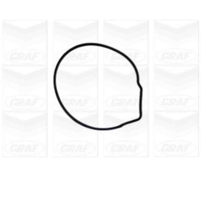 PA676_2.JPG Pompa dell'acqua, raffreddamento motore PA676 GRAF per VW SEAT